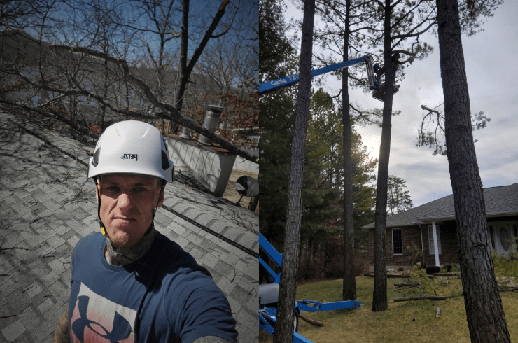 Ritzco Tree Care