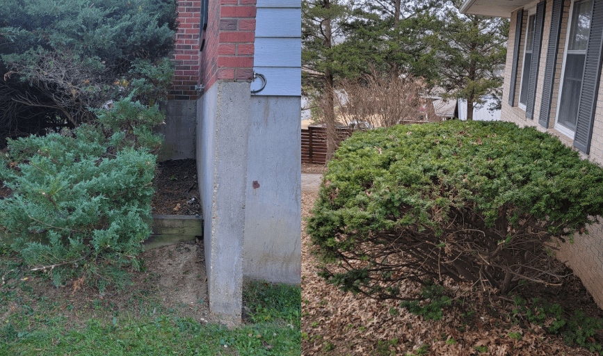 Ritzco Tree Care