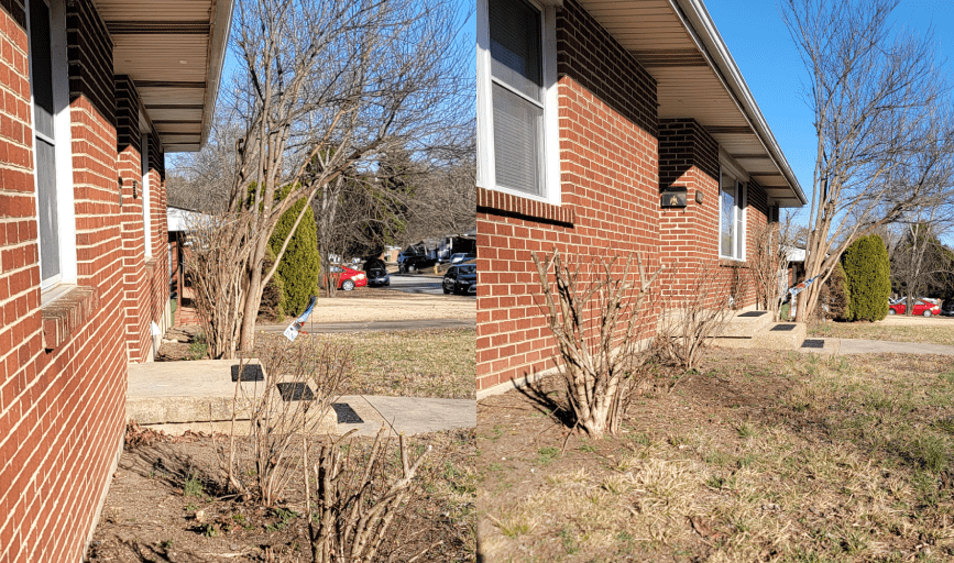 Ritzco Tree Care